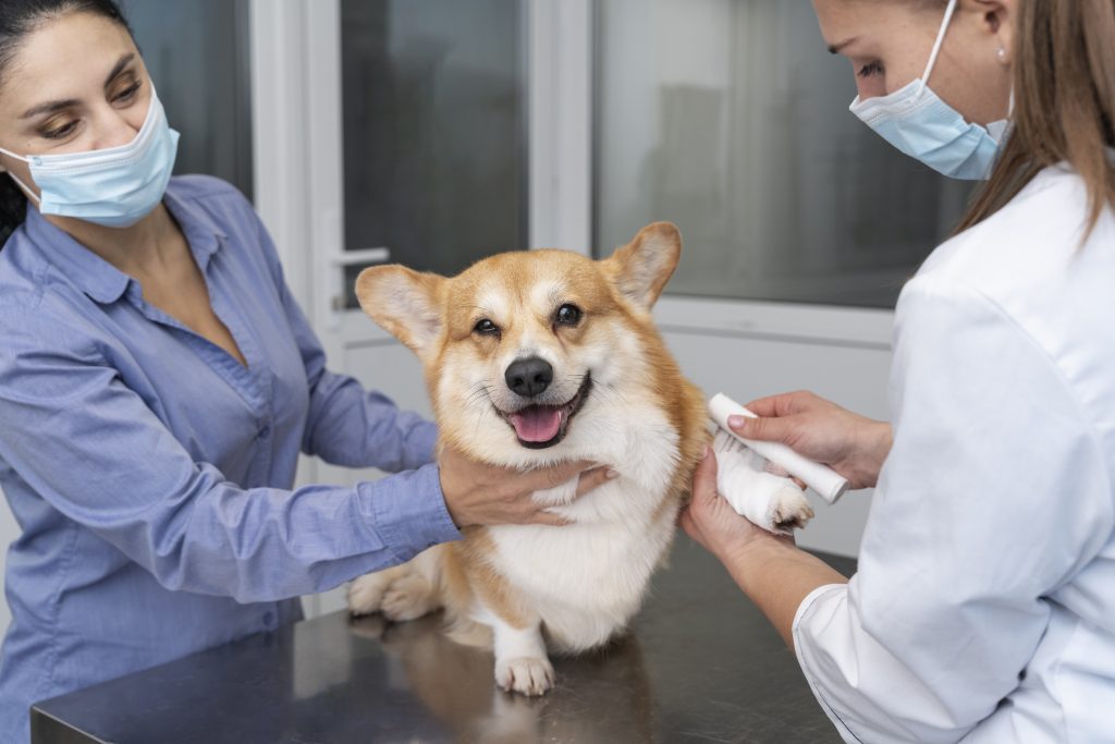 Dierenkliniek in Heerenveen